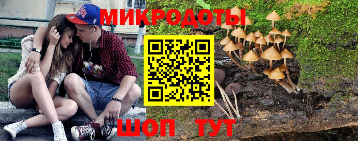 Михайловка  Псилоцибиновые грибы мухоморы  Галлюциногенные грибы GOLDEN TEACHER  Вход с VPN 